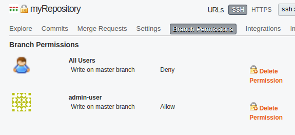 Branch permissions example